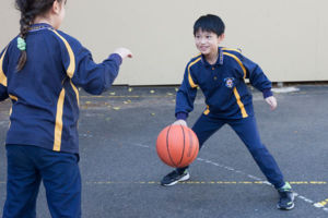 St Vincent's Catholic Primary School Ashfield sport